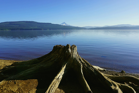 Conflicting Beauty on Timothy Lake