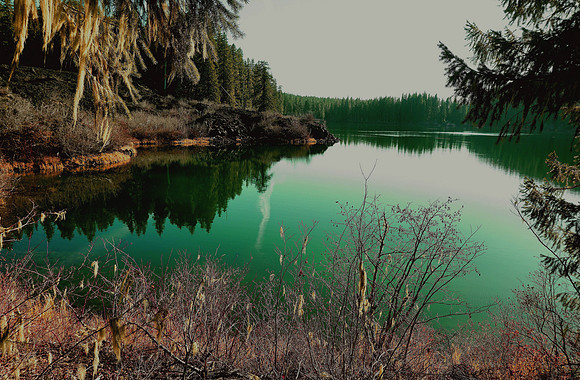 Clear Lake's Serenity