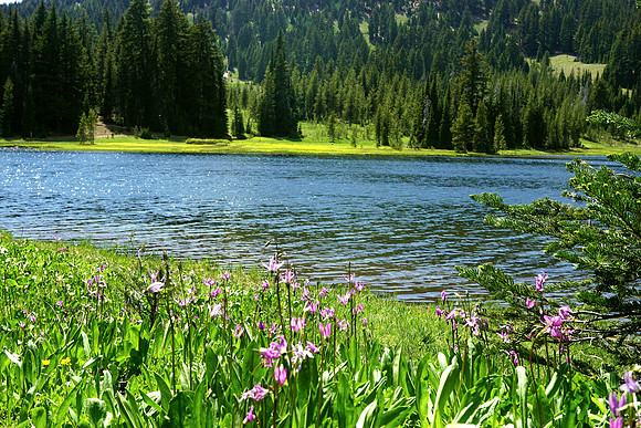 Glorious Spring at Todd Lake