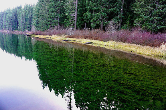 Clear Lake Reflections