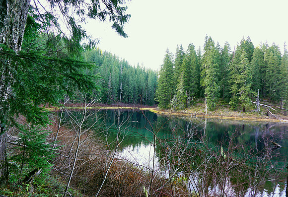 Clear Lake  wilderness