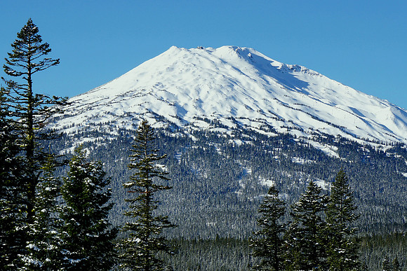 Mt Bachelor in all its Glory