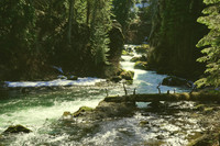 Deschutes Rapids