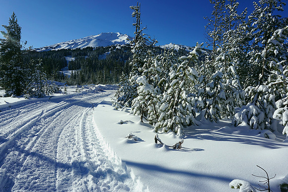 Winter's expressions
