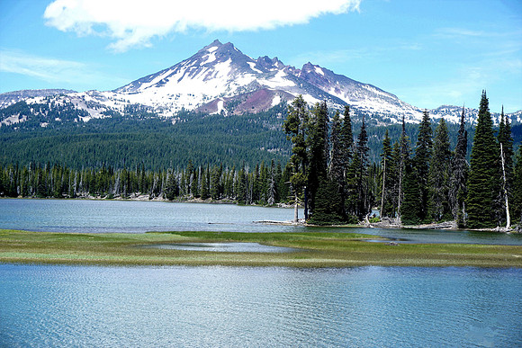 PNW Nature's Paradise
