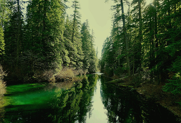 Clear Lake Serenity