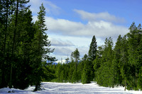 The beauty of nature in Winter