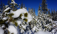 Winter in Central Oregon