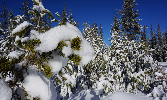 Winter in Central Oregon