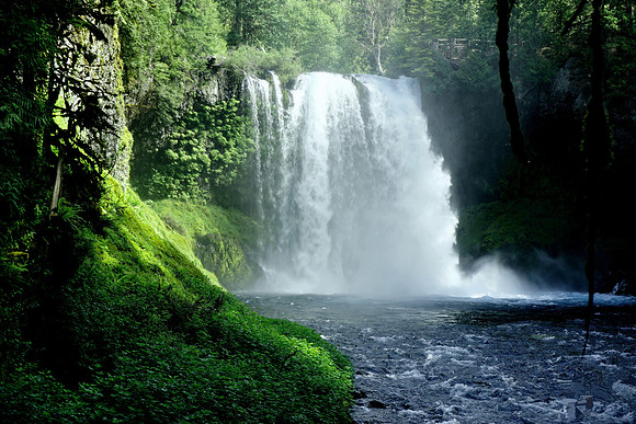 Koosah's Mysterious Cascades