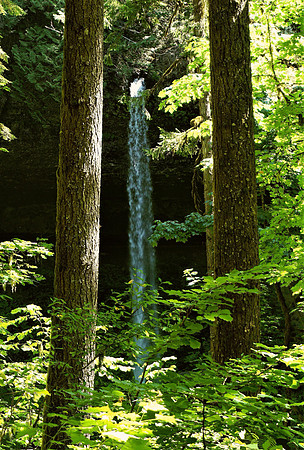 A Peek of a Ten Falls Beauty