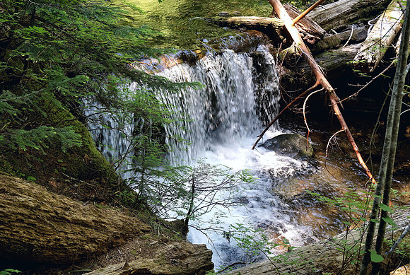 A place to dream up Salt Creek Trails