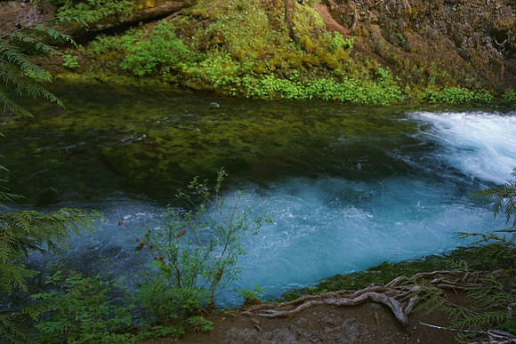 The Noble McKenzie River