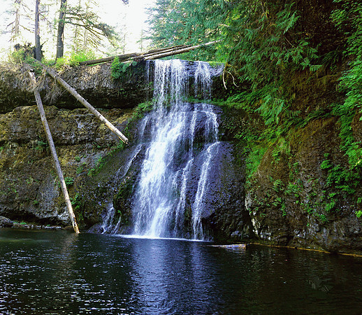 Beauty of Silver Falls State Park