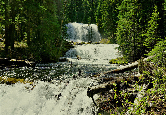 Cascading Beauty on Tumalo Loop