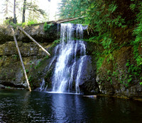 Lovely charm at the Silver Falls Trails