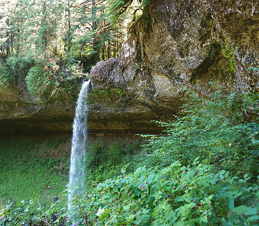 Cascading Thrills at Silver Falls