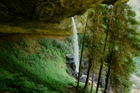 Impressive one of ten at Silver Falls State Park!