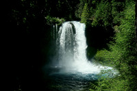 Magnificent mystery of Koosah Falls