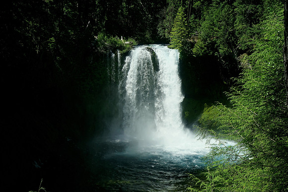 Magnificent mystery of Koosah Falls