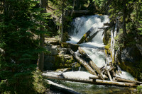 Such elegance along Tumalo Loop