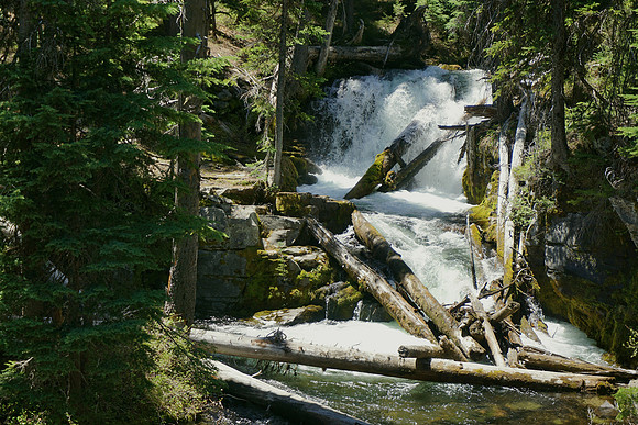 Such elegance along Tumalo Loop