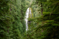 The Glamor of Proxy Falls