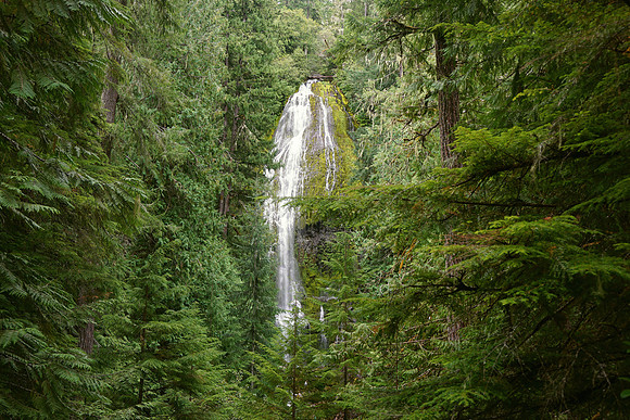 The Glamor of Proxy Falls