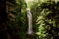 Salt Creek Falls through the trees