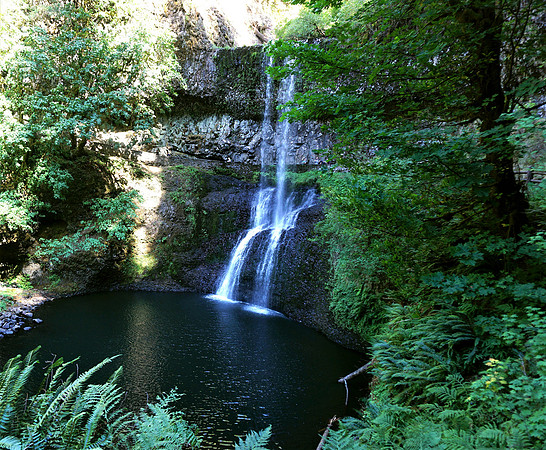 Alluring one at Silver Falls State Park