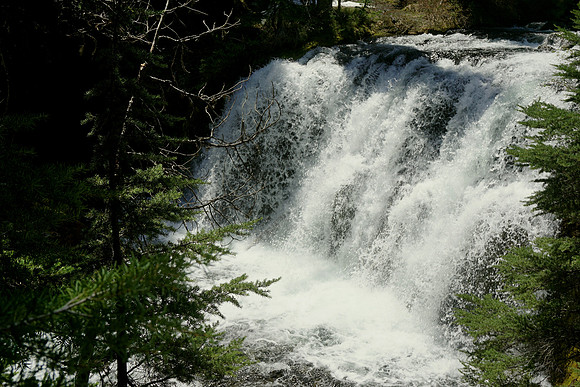 Thrill of the Cascades