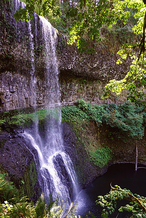 Whisper of a gem at Silver Falls State Park