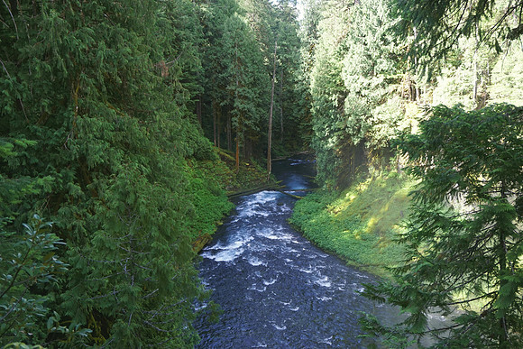 Hiking along the Inspiring McKenzie River