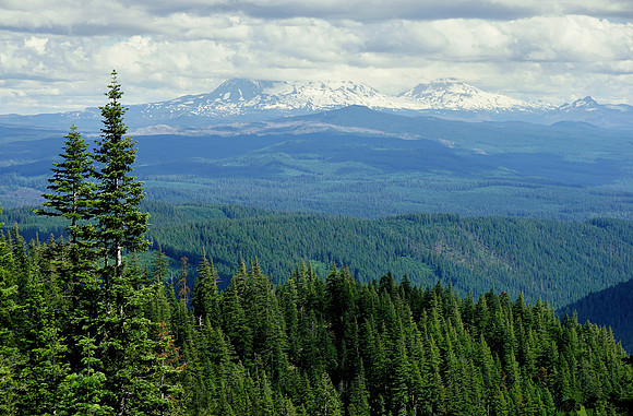 View from the top of Browder Ridge Trail