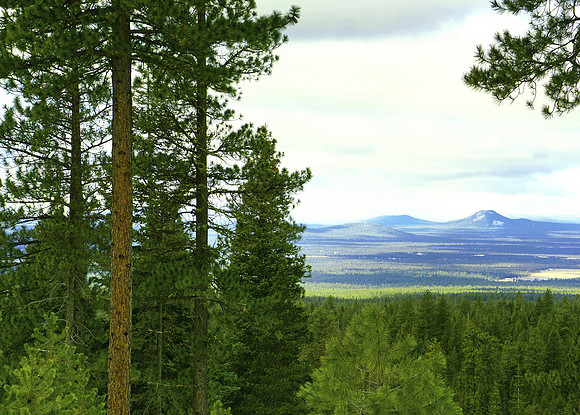 A view of the Cascades